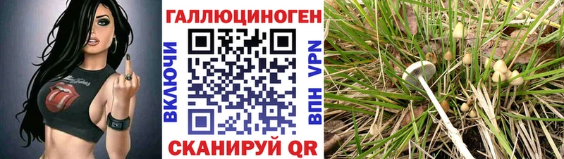 Псилоцибиновые грибы Magic Shrooms  Южно-Сухокумск 