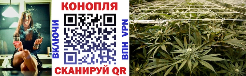 Конопля VHQ  купить наркотик  Южно-Сухокумск 